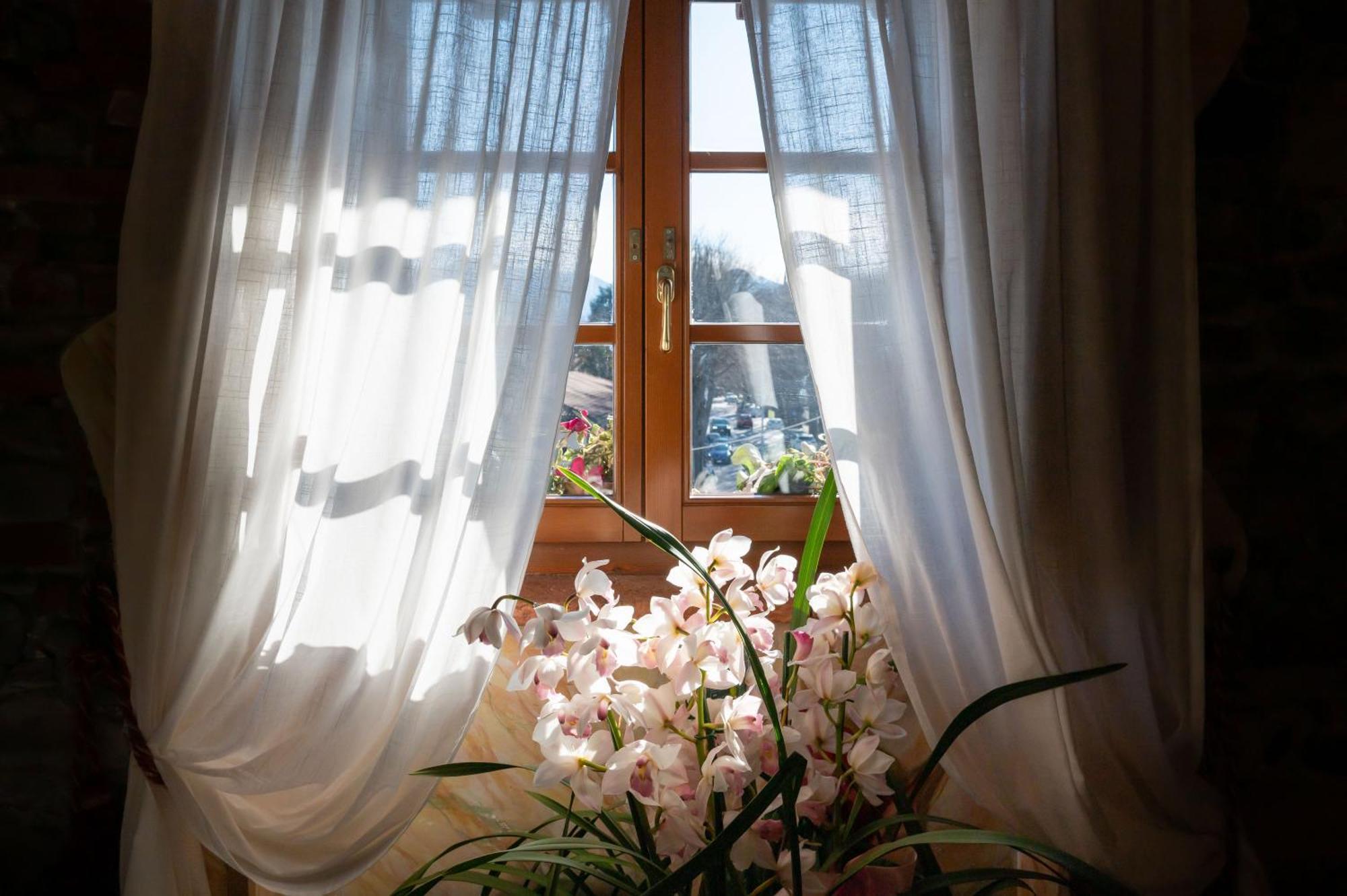 Luxury Corte Di Re Artu 2* Lucca